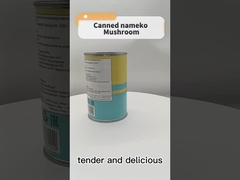 Свежее естественное сырье законсервировало гриб фермы овощей плодов 425g