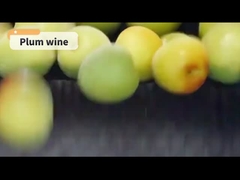 Вино сливовое слабоалкогольное 720мл Лучшая пара для суши