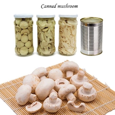 Овощи законсервированных плодов гриба Champignon чавкая куски гриба