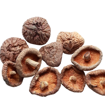 гриб шиитаке 100g 250g 1kg 3kg сухой с ISO HACCP IFS BRC
