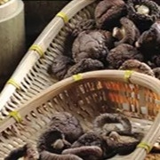 Здоровые сухие лет срока годности при хранении гриба шиитаке 1kg ровные поверхностные 2